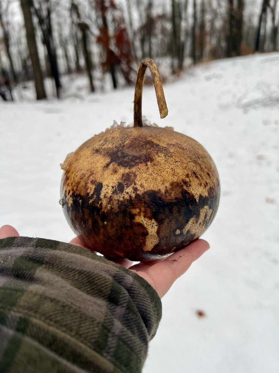 Bri Castagnozzi tweet media