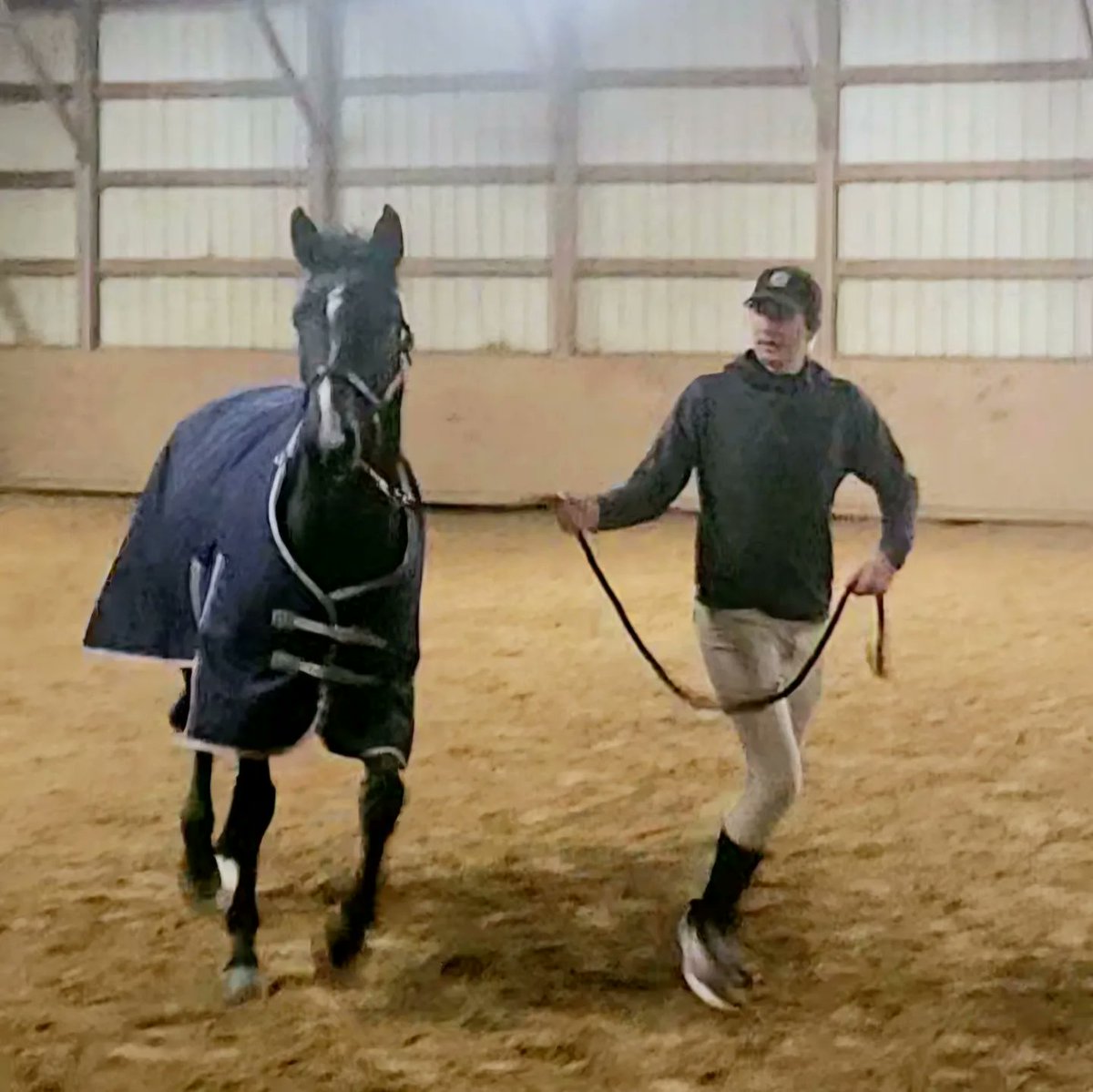 Accting_Equus's tweet photo. Probably one of the few posts I'll make here:

I'd like to welcome my new horse, Remembering Maude! She's an off track thoroughbred that's currently 3, turning 4 on January 1st (all thoroughbreds do). I look forward to training her into a show jumper and XC/3 day eventing horse! https://t.co/5qqt5uBCIh