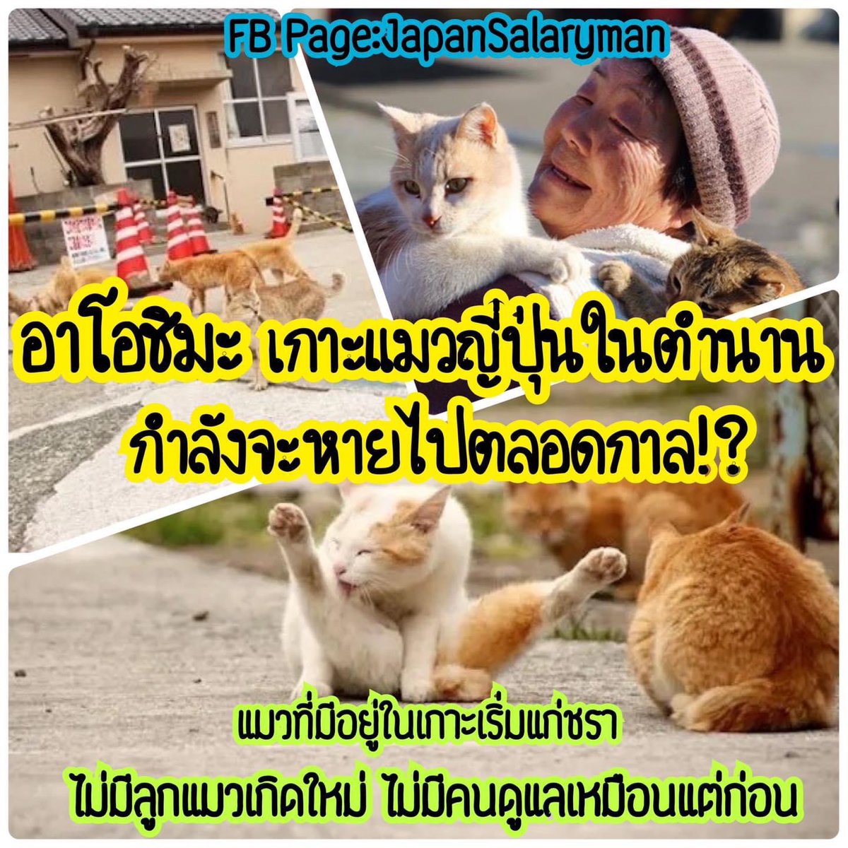 บูม JapanSalaryman|New!คอร์สบริหารเวลาสไตล์ญี่ปุ่น tweet media