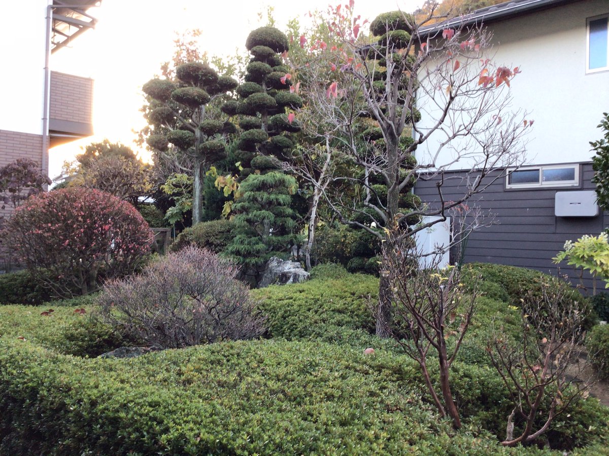 19451111's tweet photo. 20241123
おはようございます。

今朝の我が家の庭です。
紅葉🍁も終わり、落葉🍂が進んでいます。 https://t.co/A49SPhcKDp