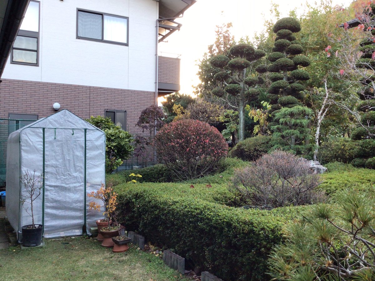 19451111's tweet photo. 20241123
おはようございます。

今朝の我が家の庭です。
紅葉🍁も終わり、落葉🍂が進んでいます。 https://t.co/A49SPhcKDp