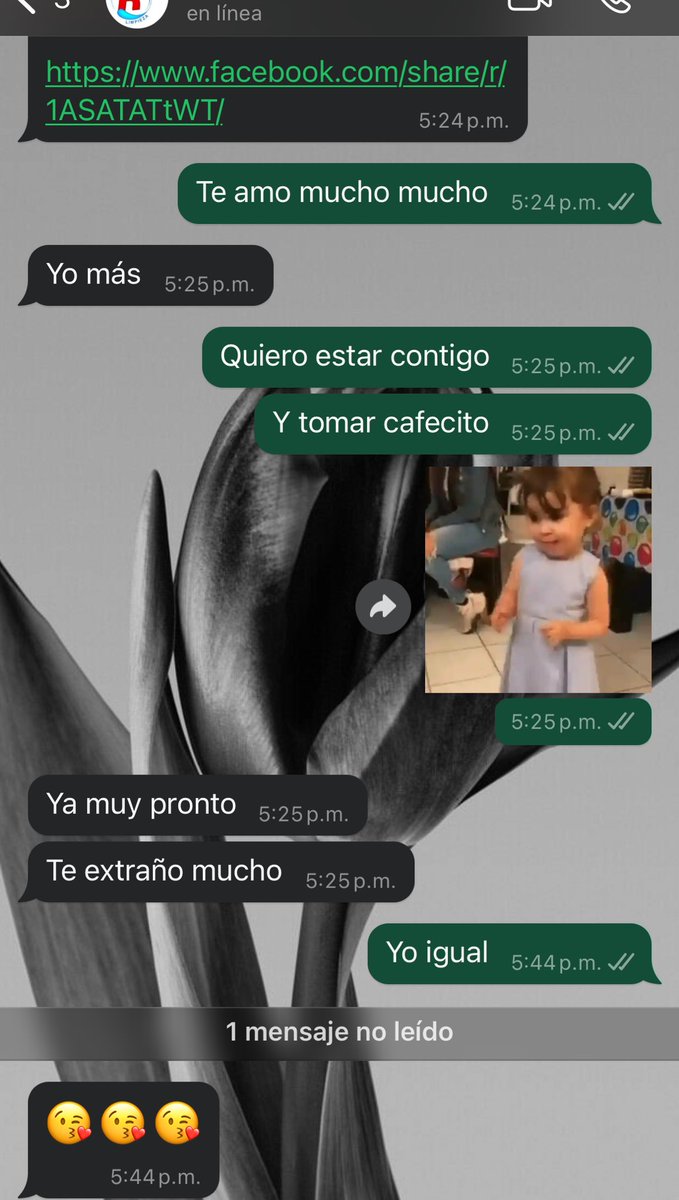 Arabinomanano tweet media