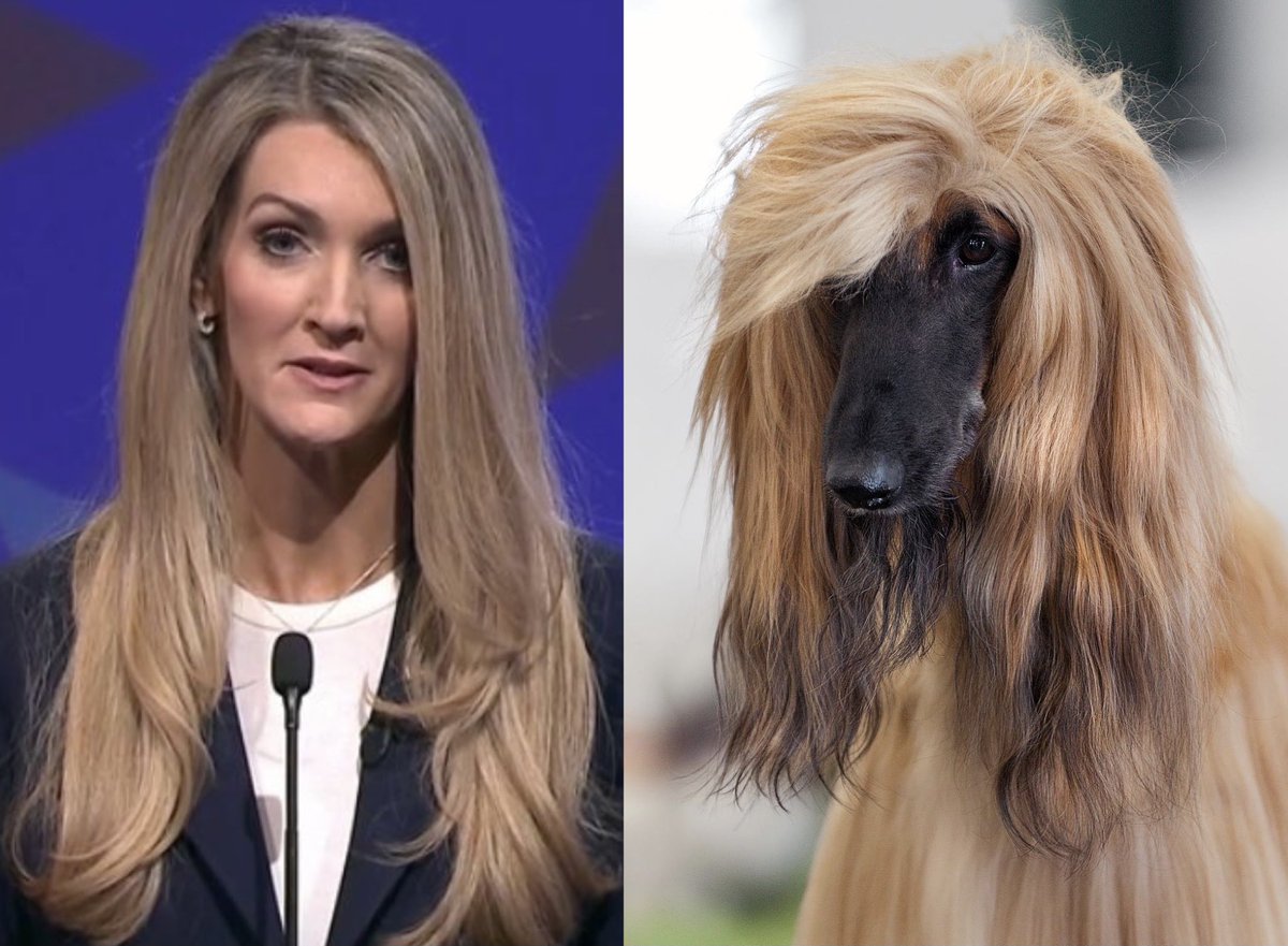 Trump is expected to offer Kelly Loeffler, pictured on the left, the position of Secretary of Agriculture.