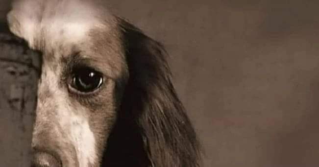 Merhamet acımak değildir..
Merhamet acıtmamaktır...