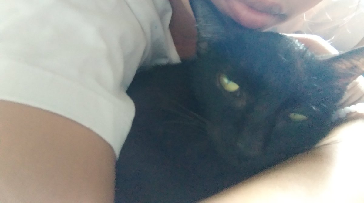 jinTalks_'s tweet photo. If alam ko lang na ito na pala ung huling yakap at paghalik ko sa'yo sana nilubos ko na. You give so much happiness to my life baby. I'm sorry if wala ako sa tabi mo nung nawala ka. You can rest now, miya.  MAHAL NA MAHAL KITA. https://t.co/XGeaZ74gdP