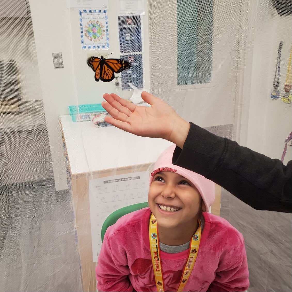 Mrs. Tabbi’s butterfly tradition! From caterpillars to beautiful butterflies!🦋 #butterfly #metamorphosis