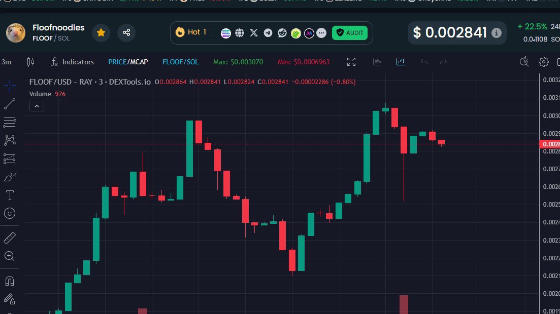 #1 ON DEX TOOLS $FLOOF 📈