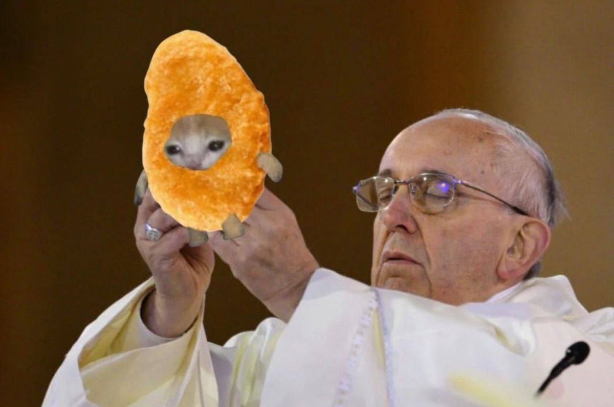 nugcatsol's tweet photo. @ZssBecker 🚨 NUGCAT IS HERE! 🚨

🐱 The cutest and most savage meme in the game! Don’t sleep on $NUGCAT—this gem is ready to claw its way to the top. 🚀💎

$NUGCAT the next big thing. 🌟🐾

#NUGCAT #Crypto #MemeCoin #NextBigThing https://t.co/yfWSSLEQ0o