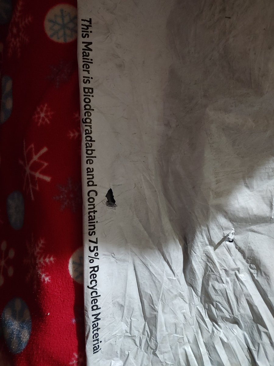 Rachel Heck tweet media