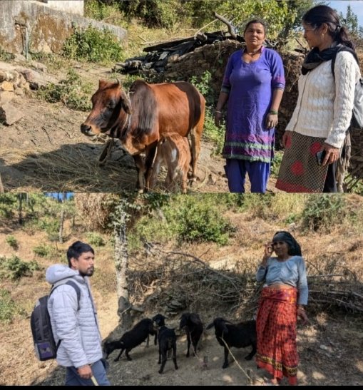 Yamkeshwar1's tweet photo. दिनांक 22.11.2024 को ब्लॉक स्टॉफ द्वारा 06अल्ट्रा पूअर गतिविधि 2023-24  का  निरीक्षण किया गया। मराल, उमड़ा, फलदकोट, डोरपाली और फूलचट्टी। https://t.co/unFl8NYdxa