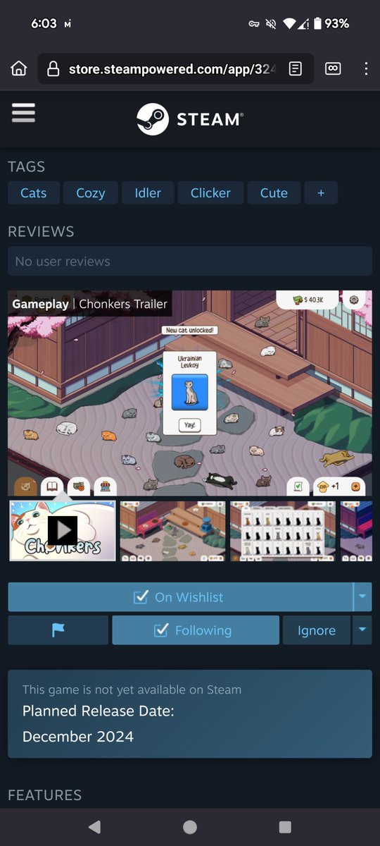 Ringo 1231 tweet media