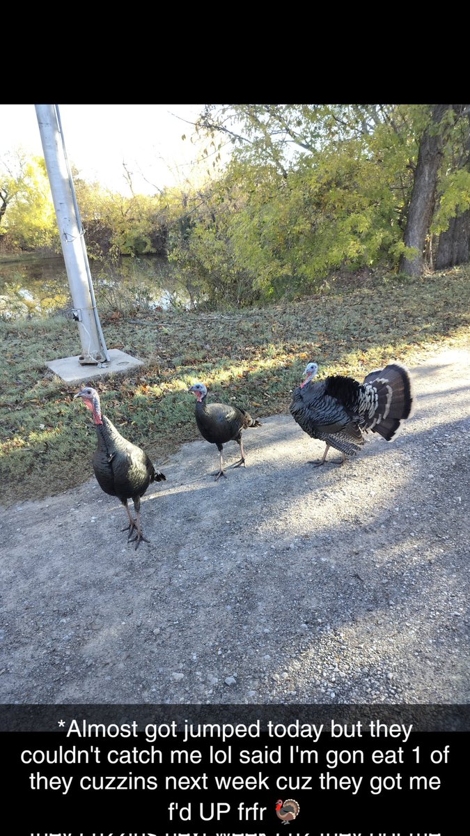 Add me on Snapchat! Username: ducekdiggitty snapchat.com/add/ducekdiggi…