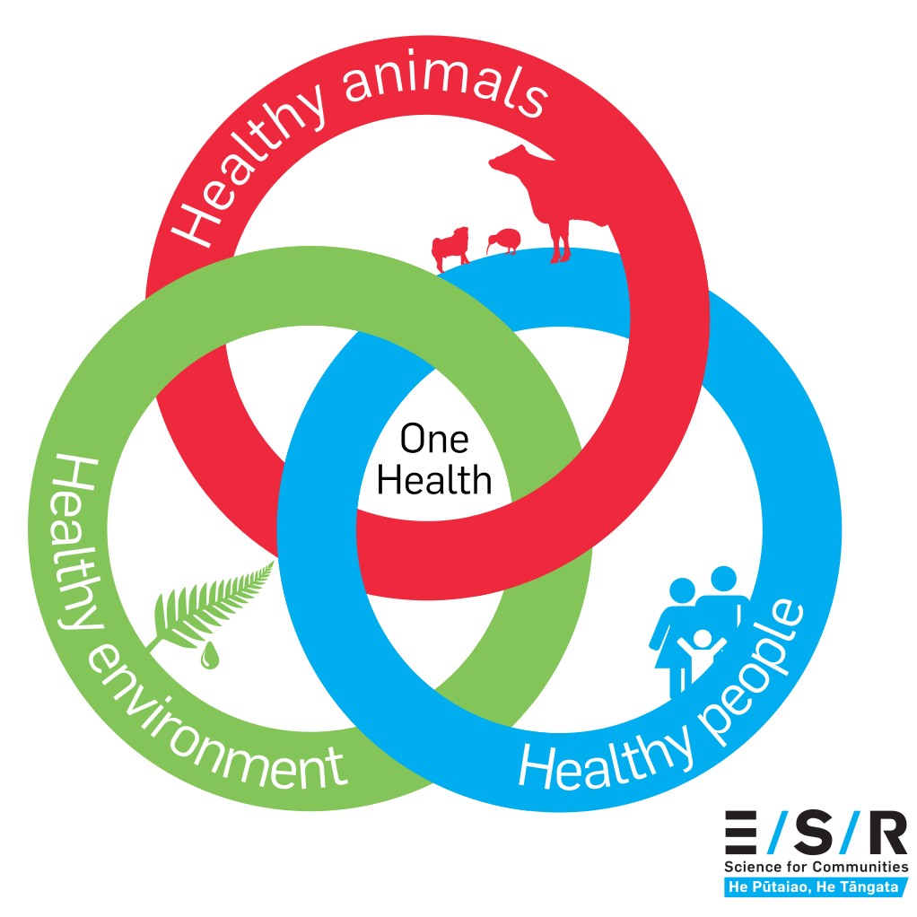 Day 6 of #AntimicrobialAwarenessWeek: AMR isn’t just a global crisis—it has local consequences🌏

It’s not just about humans. #AMR affects animals, the environment, &amp; everything in between.

To truly understand AMR, we need to see how these 3 are connected #OneHealth #WAAW🧵👇