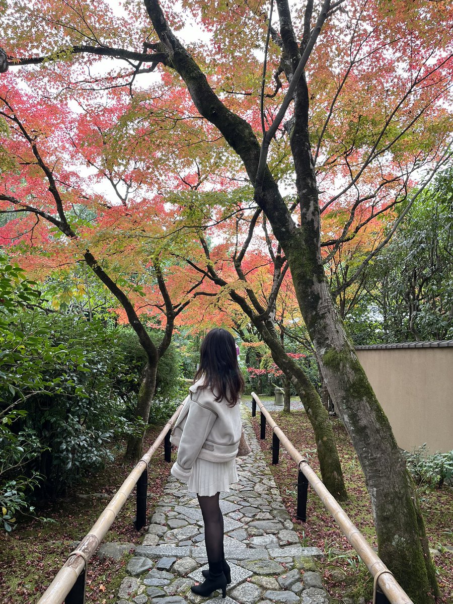 LoveYellowKage's tweet photo. こちらは、いい感じで見頃
#紅葉
#光悦寺 https://t.co/f6ClxeYTKT