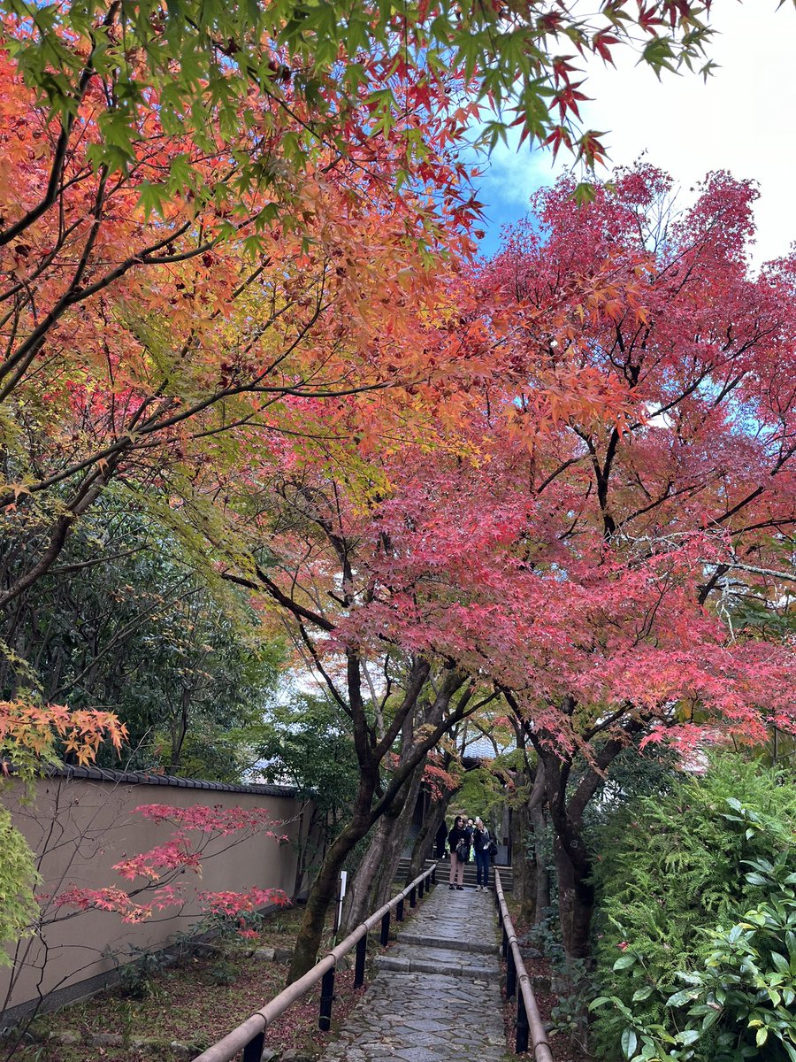 LoveYellowKage's tweet photo. こちらは、いい感じで見頃
#紅葉
#光悦寺 https://t.co/f6ClxeYTKT