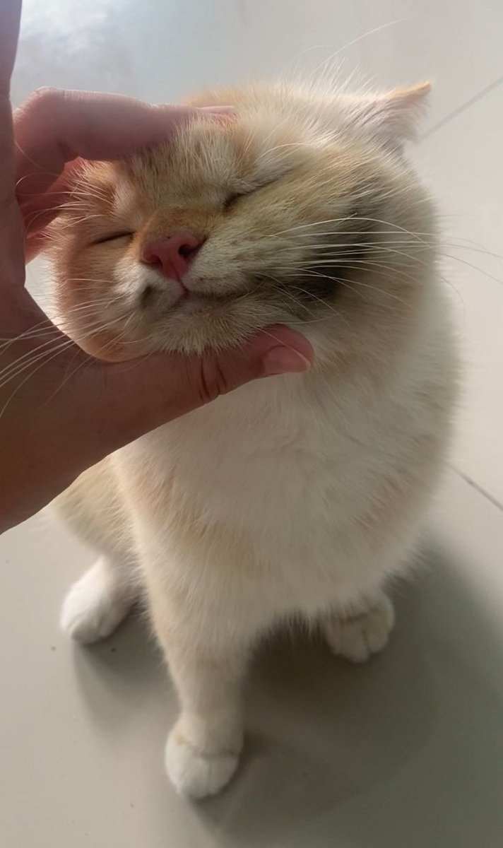 Abis ngapain sih yaAllah 😭