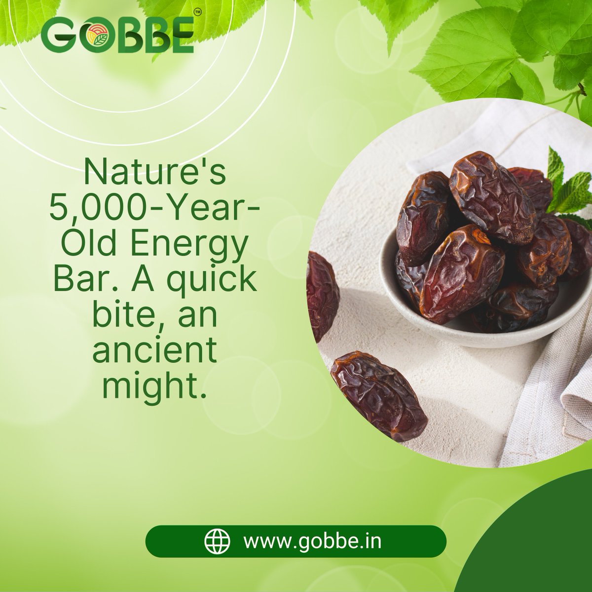 GobbeIndia's tweet photo. Meet the snack squad that’s ancient, bold, and totally irresistible. 😏

Swipe, swipe, SWIPE!

#gobbe #cashew #raisin #pistachio #healthyfood #healthyeating https://t.co/YBHBcr7s5h