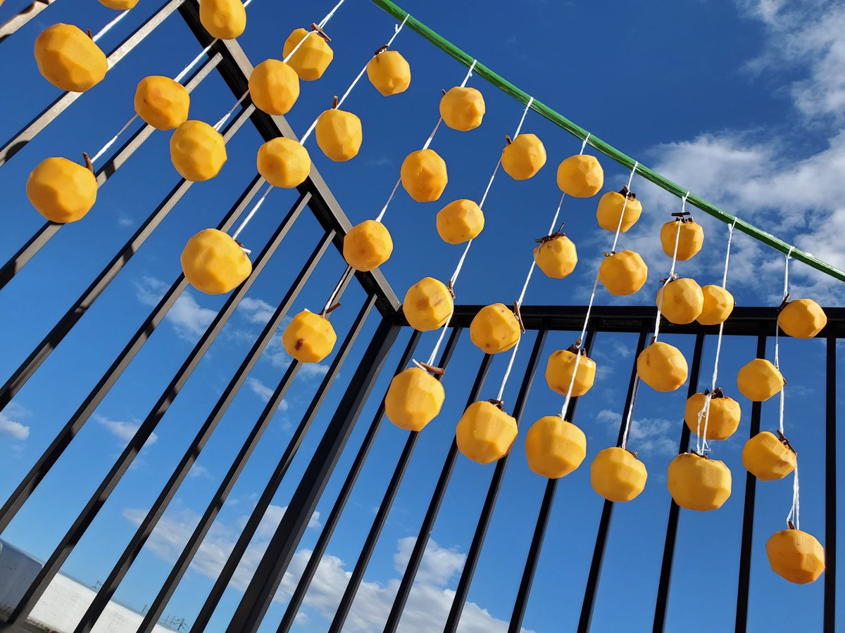 干し柿の準備完了‼️

おいしくなぁ～れ～🙌