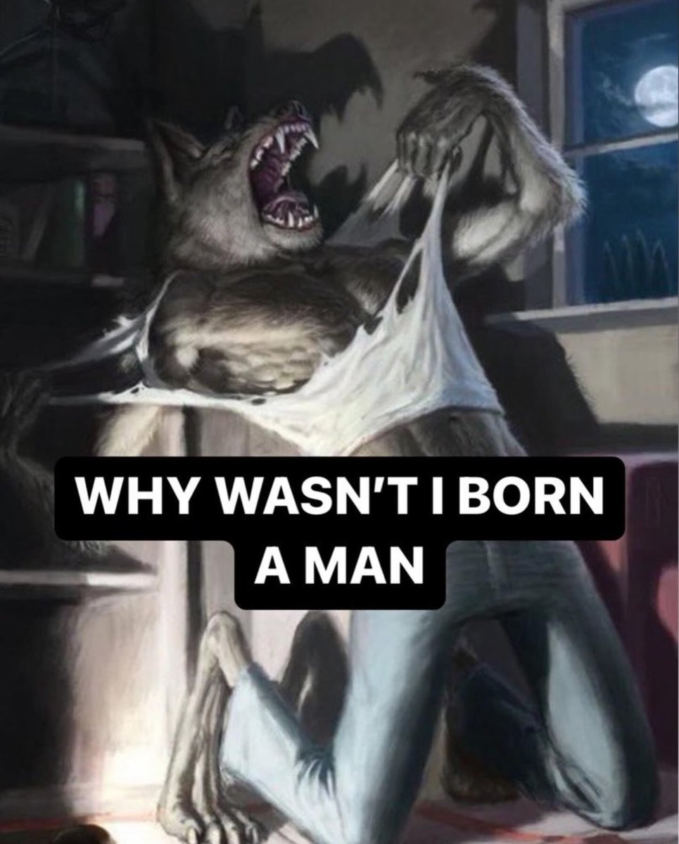 hourly_shitpost tweet picture