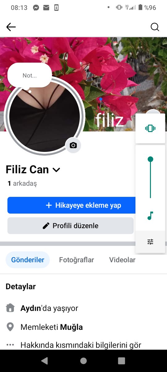 Tivi tır kapaticam fyde olcam