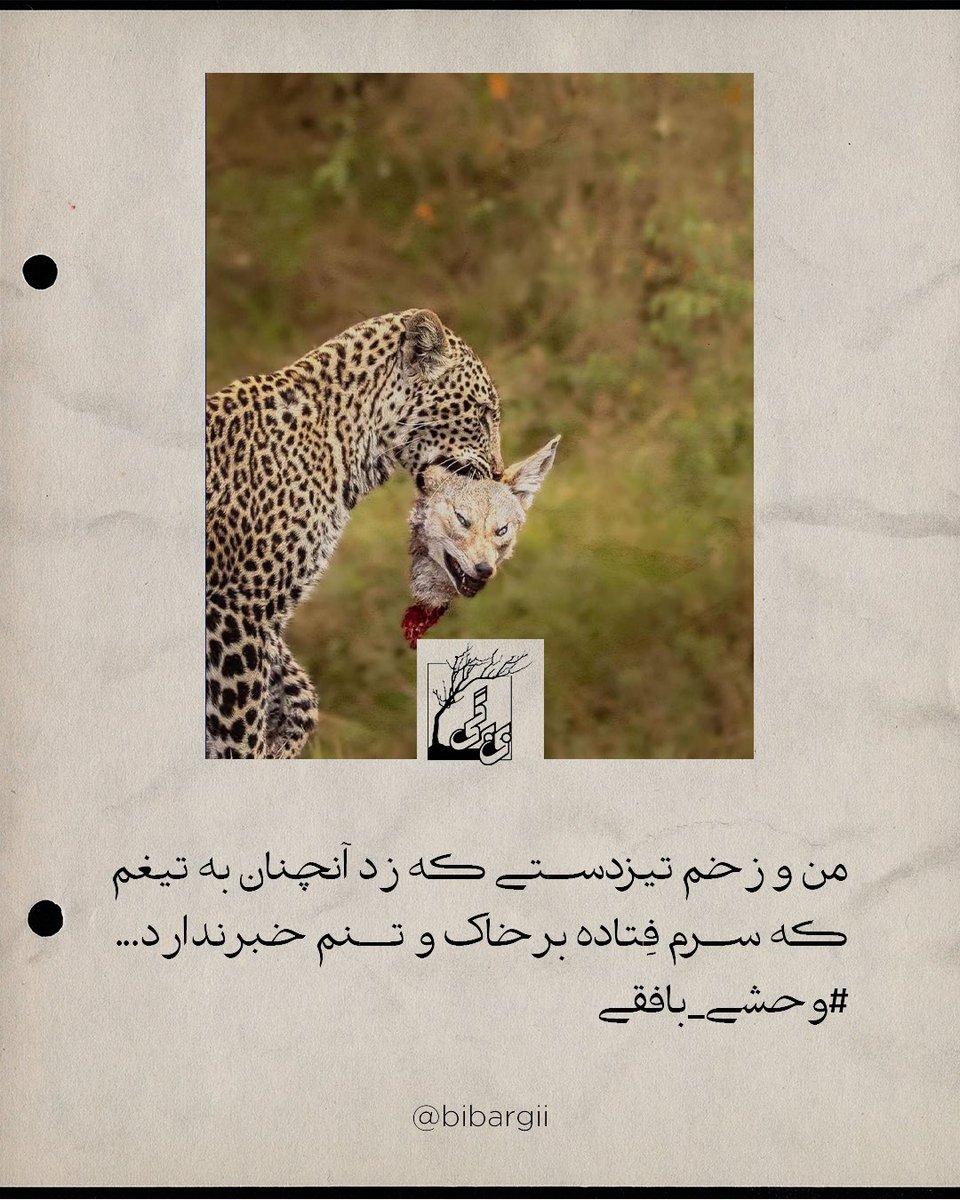 ...که سرم فِتاده بر خاک و تنم خبر ندارد...
#وحشی
#شعر  #بيت_شعر