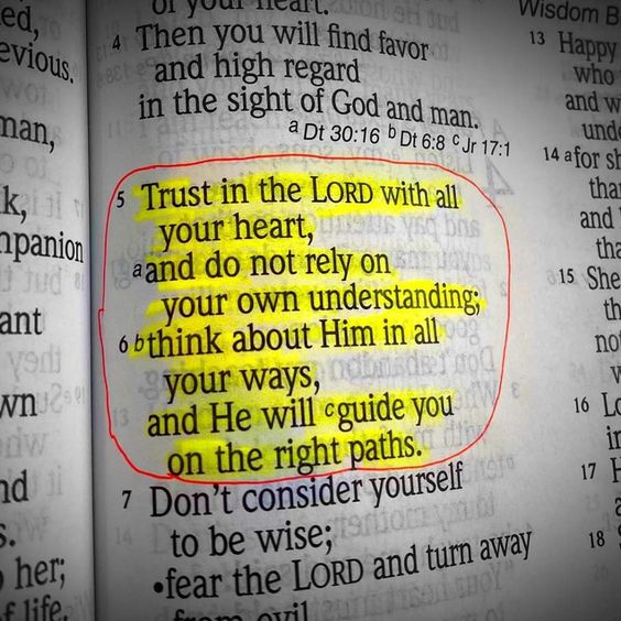 Bible 365 tweet media