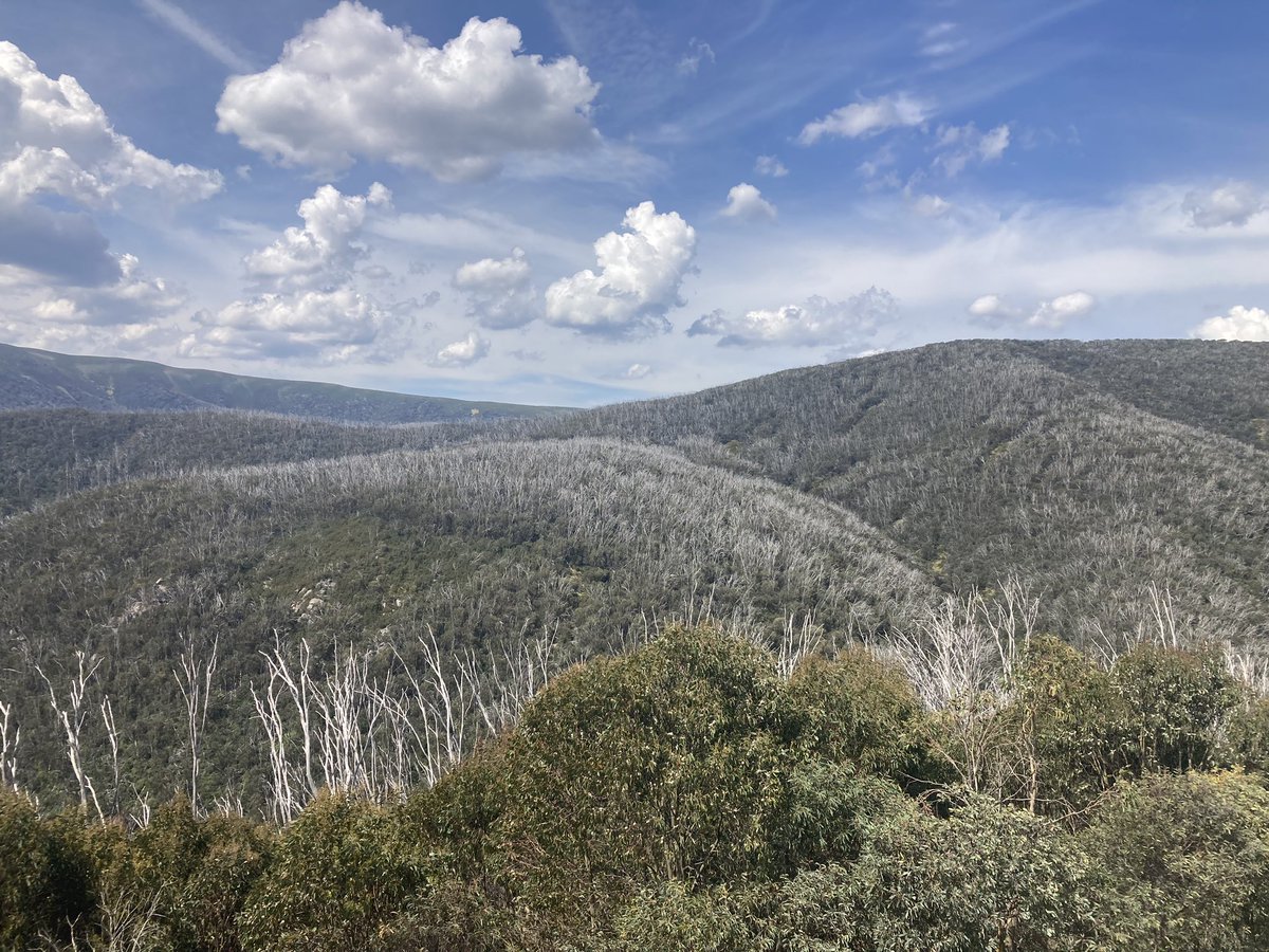 Not the worst backstage view we’ve had! 

Falls Creek - it’s our last show of tour, we’re at Ignition MTB Festival tonight! We’re on at 9, Tudor Club on at 7.45

It’s free entry into the event Village where we are playing!