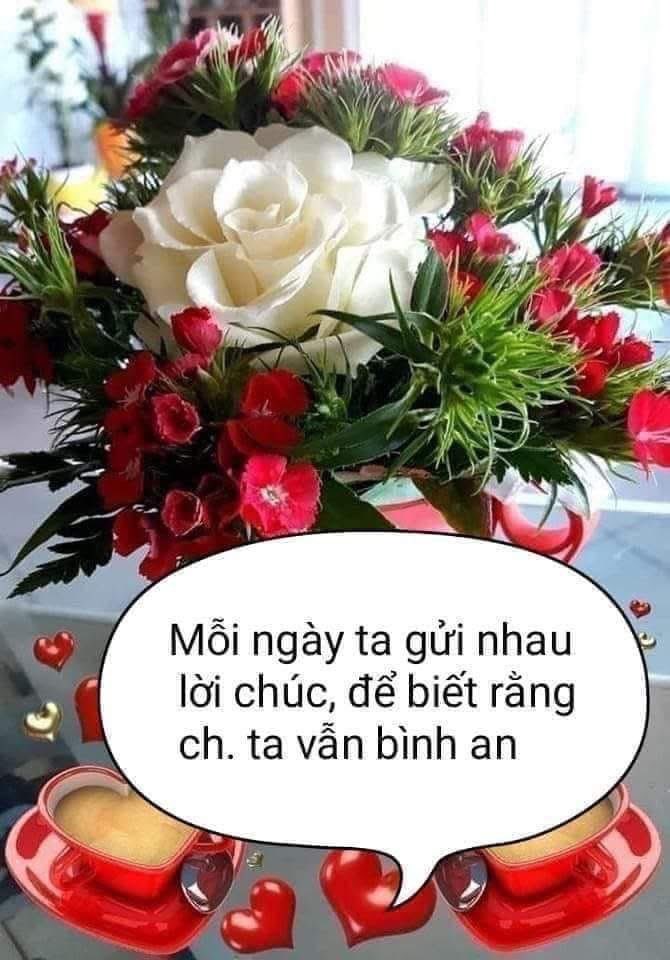 Good afternoon to everyone love ❤️