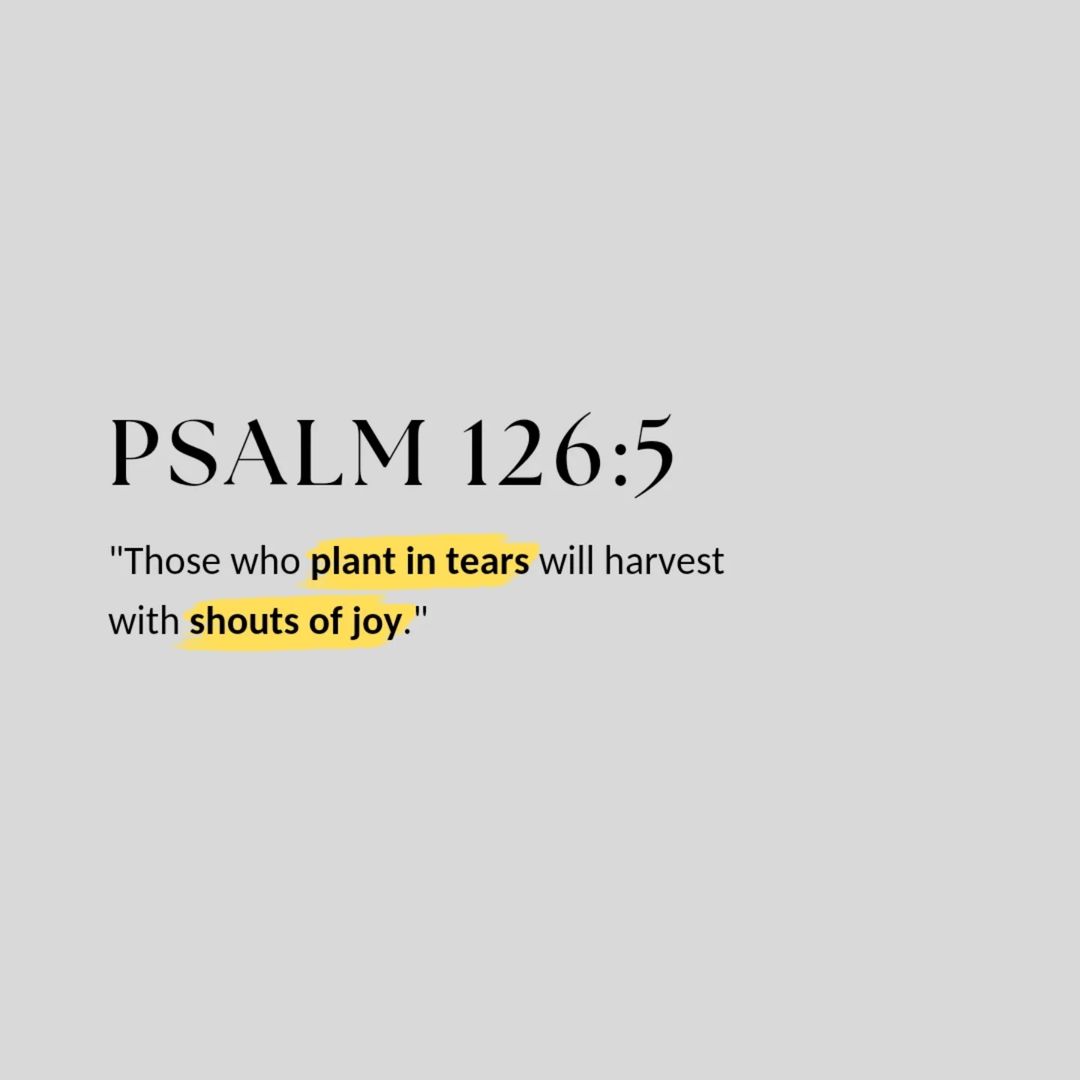 Bible 365 tweet media