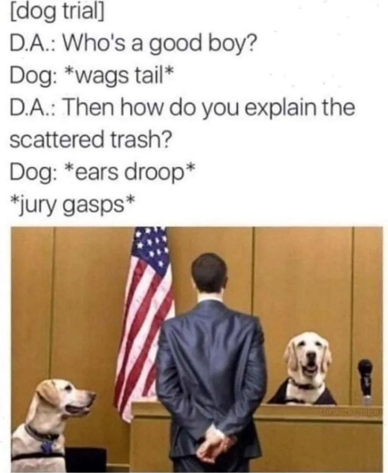 WholesomeMeme's tweet photo. https://t.co/2enZGvZpvy