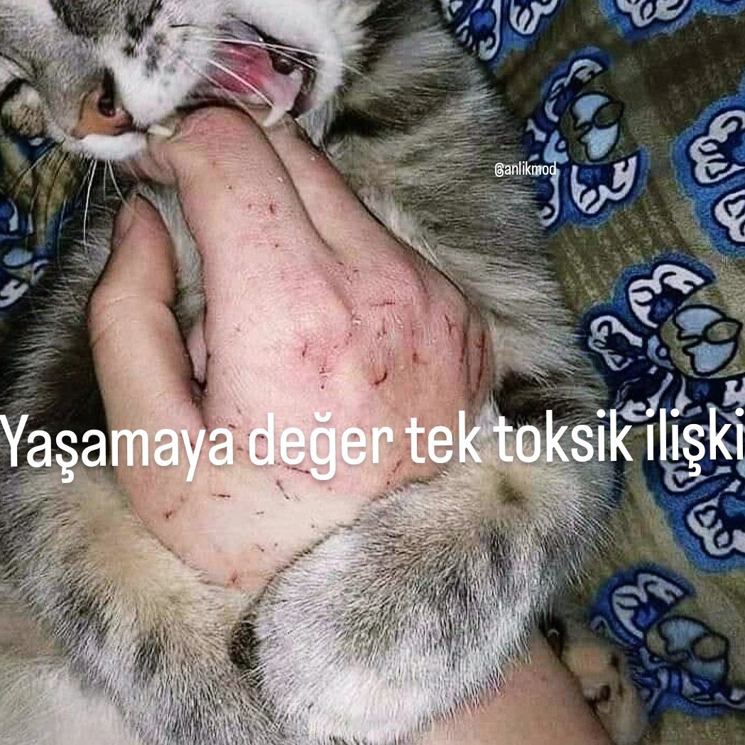 ANLIK (@anlikmod) on Twitter photo 