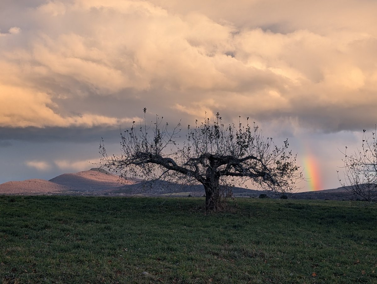 Crypto Pump Pro tweet media