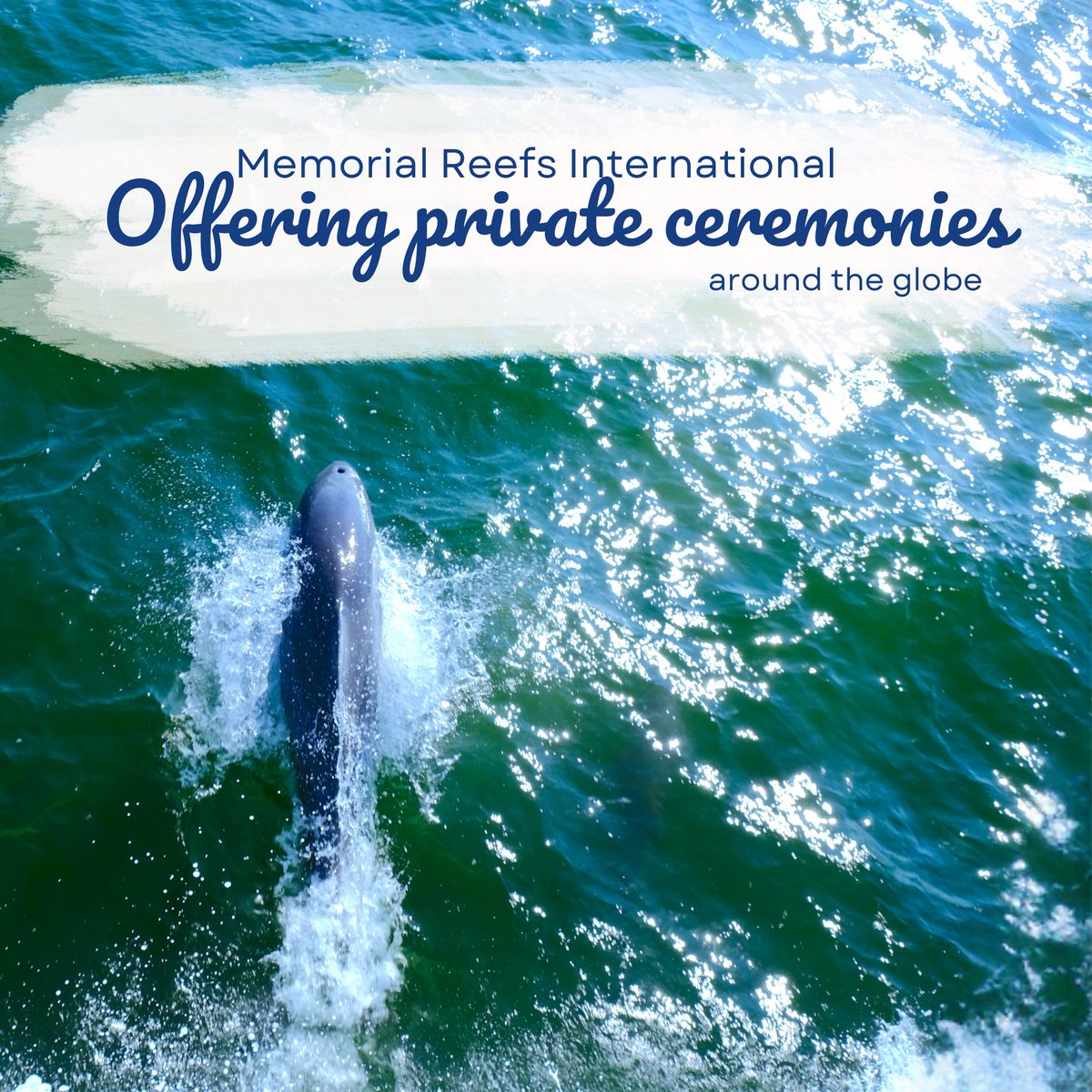 Did you know we offer private ceremonies? 
Private ceremonies allow you to have more attendees, more available dates, and more worldwide locations.
Interested? Get in touch today