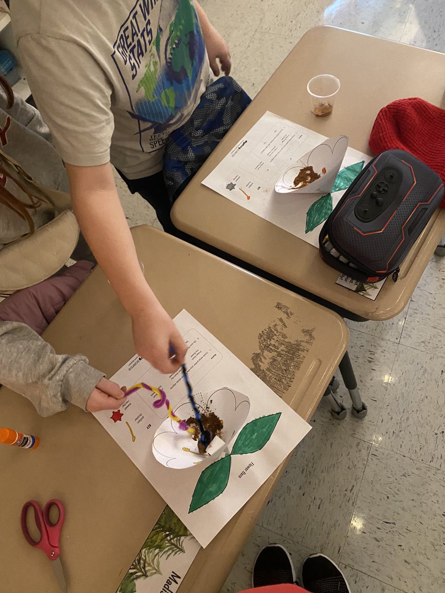 edrewY115's tweet photo. Learned about life cycles of a plant with @MysterySci  🌺 @115ccgs https://t.co/IrqXYnUVkp