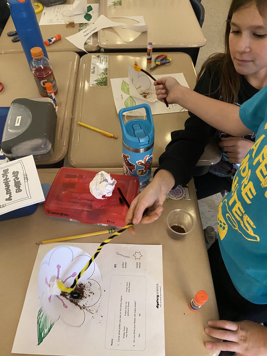 edrewY115's tweet photo. Learned about life cycles of a plant with @MysterySci  🌺 @115ccgs https://t.co/IrqXYnUVkp