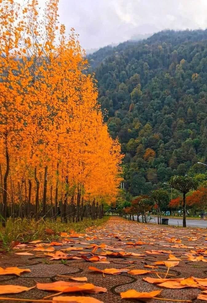 어느야경 (@yakyung379) on Twitter photo 