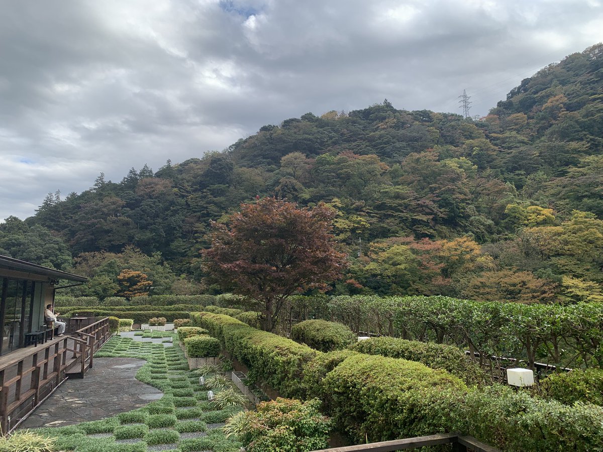 TaKa_BoNe's tweet photo. 箱根旅行で久々に自然を見たら綺麗すぎた。
現実世界よくできすぎてる、ポリゴン数多すぎ、ディティールが作られすぎ。 https://t.co/yIeyfIblWb