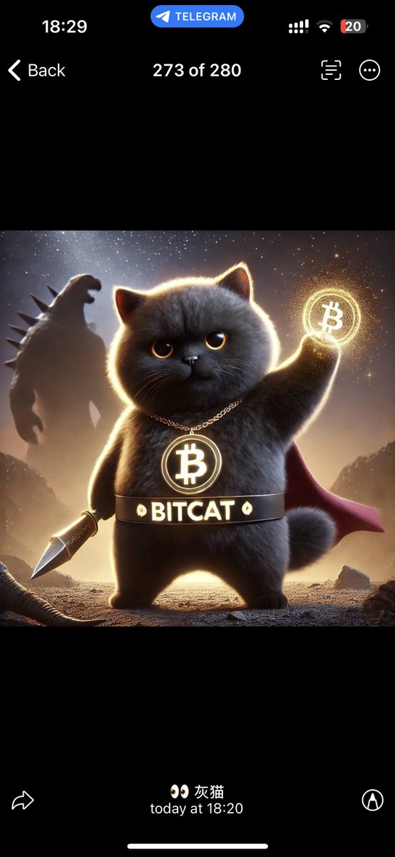 wangyingb2's tweet photo. @cishanjia 我认为割肉买比特吉祥物##BitCat ，应该能回本，毕竟是比特家族成员 https://t.co/PhI300xinu