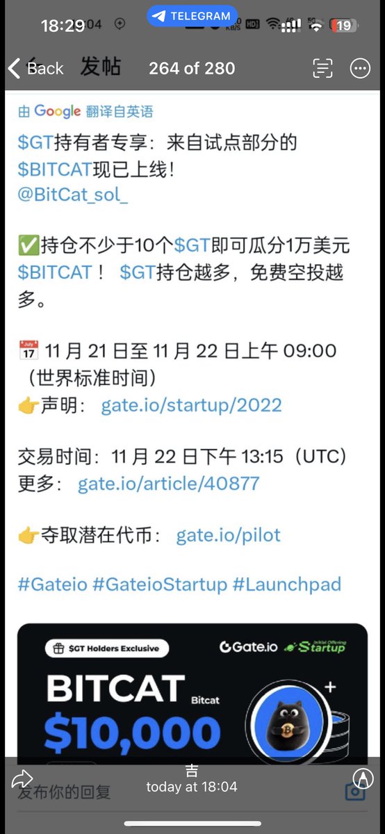 wangyingb2's tweet photo. @cishanjia 我认为割肉买比特吉祥物##BitCat ，应该能回本，毕竟是比特家族成员 https://t.co/PhI300xinu
