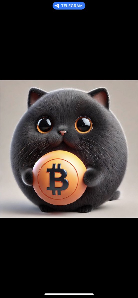 wangyingb2's tweet photo. @cishanjia 我认为割肉买比特吉祥物##BitCat ，应该能回本，毕竟是比特家族成员 https://t.co/PhI300xinu