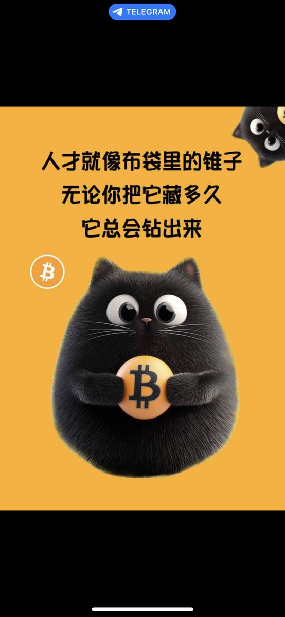 wangyingb2's tweet photo. @cishanjia 我认为割肉买比特吉祥物##BitCat ，应该能回本，毕竟是比特家族成员 https://t.co/PhI300xinu
