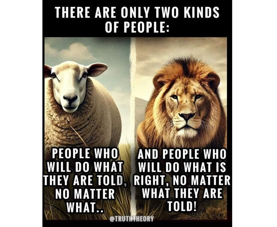 tadlock4house's tweet photo. Which one are you? https://t.co/XHggh3sASW