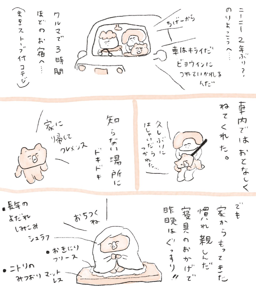 ニーニー、今朝いつも通りに起きて、今は薪ストーブのあたたかさを気に入ったもよう。いつも使ってる寝具めちゃかさばったけど持ってきてよかった。 