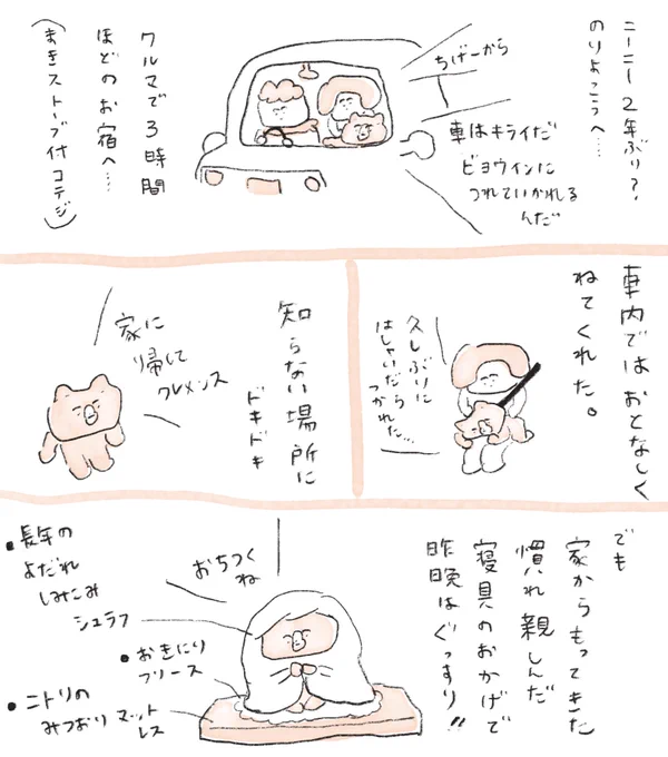 ニーニー、今朝いつも通りに起きて、今は薪ストーブのあたたかさを気に入ったもよう。いつも使ってる寝具めちゃかさばったけど持ってきてよかった。 