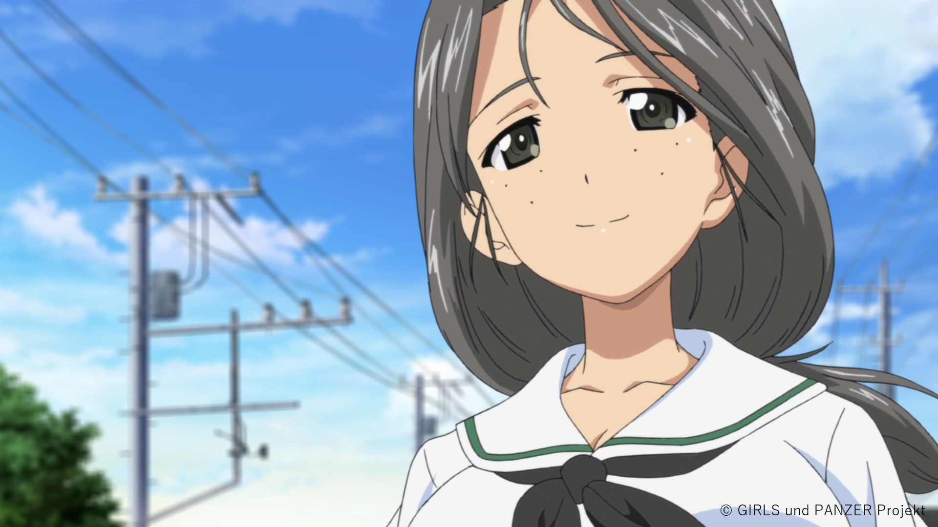 葵さん専用 Amazon | 青島文化教材社 1/24 ザ・チューンドカーシリーズ No