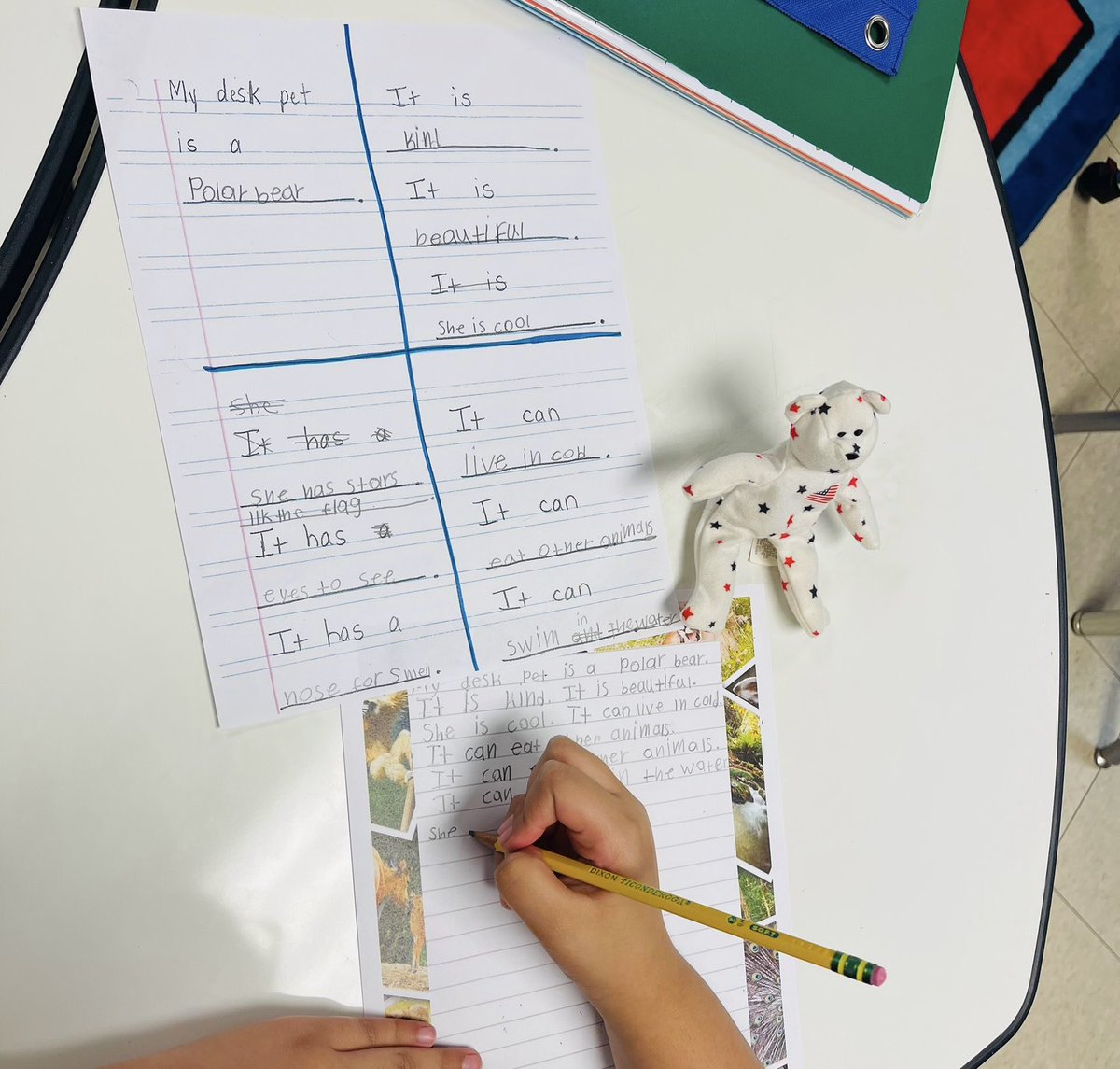 Our EB students adopted a desk pet. Then, beginning/intermediate writers wrote sentences about their animal while the advanced level students compared/contrasted their animal with another animal of their choice. #academiclanguagebuilding #showcasewriters