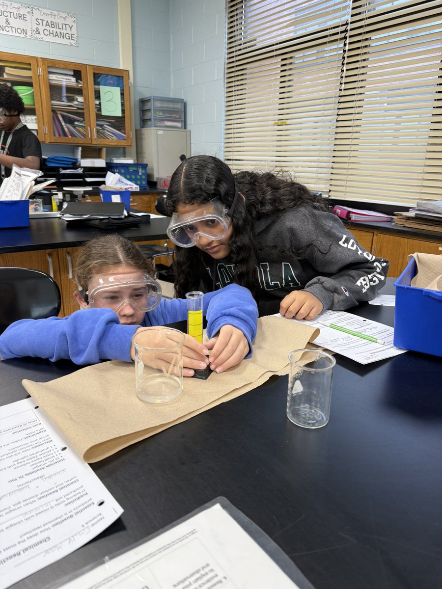 Ms. Saraniero tweet media