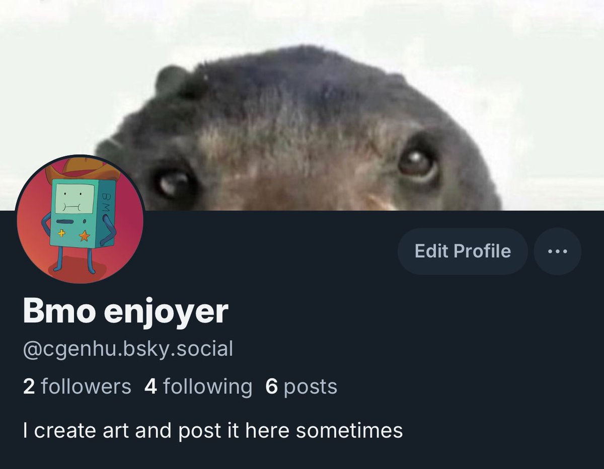 Bmo enjoyer tweet media