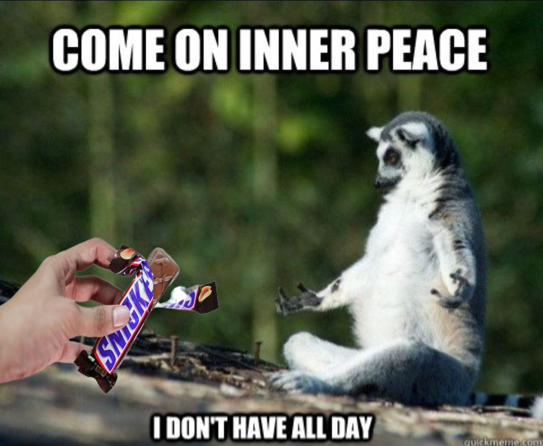 <a href="/mememe69696969/">me 🪲</a> Come on.. <a href="/SnickerOnSolana/">SnickersCTO</a> here for the peace 🍫🥜

kkqmUTZakCFEXXDycdw9D5GyG7amEZwPN1JYysAgXcG