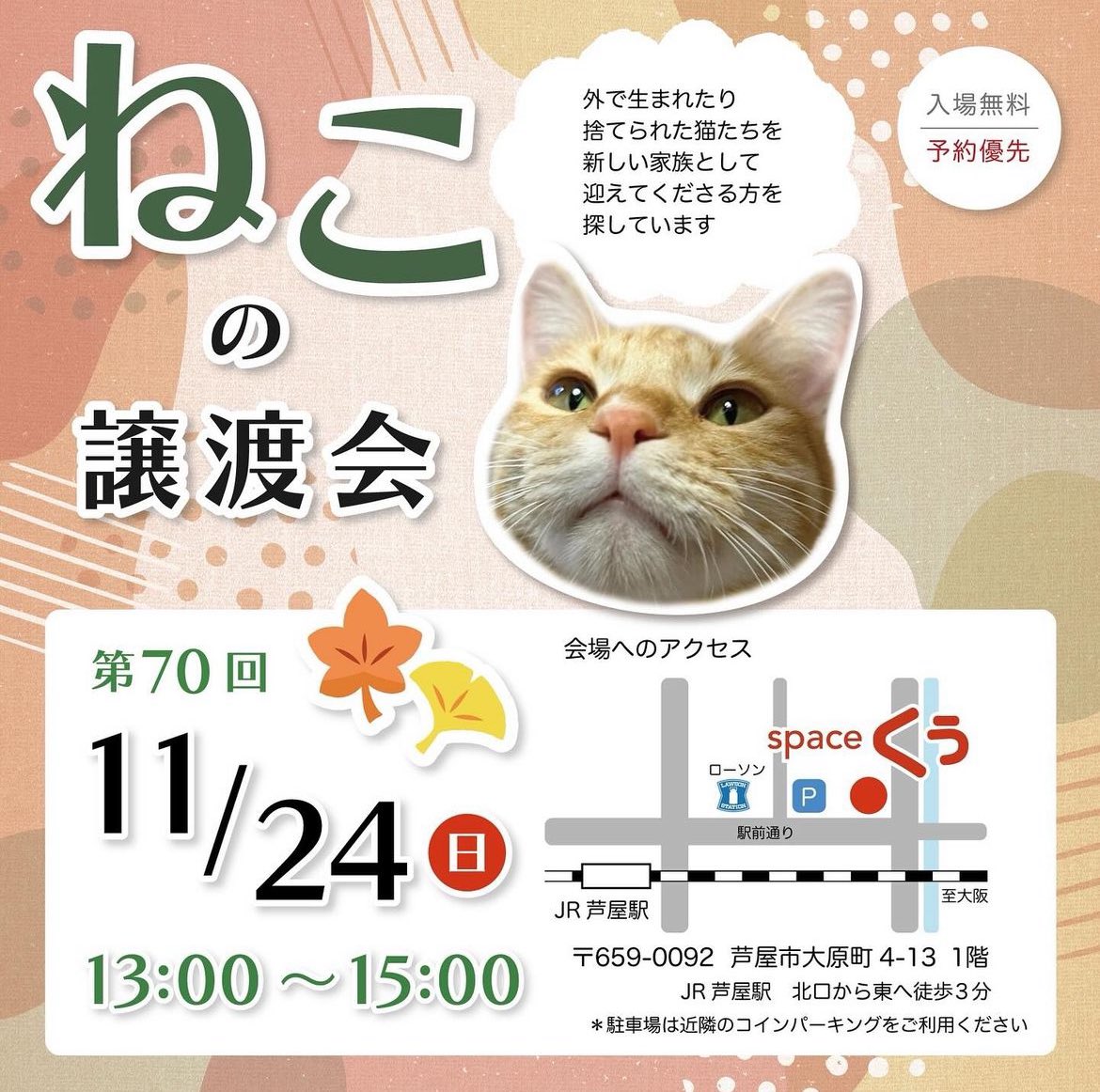 juso_sakuraneko's tweet photo. 拡散希望

兵庫県芦屋市
猫の譲渡会のお知らせ
11月24日（日）13時〜15時
芦屋市大原町4-13

猫の家族を探している方
是非お立ち寄りください✨

私も手塩にかけた保護猫と参加します✨

大変厚かましいお願いでごさいますが、多くの方のお目にとまりますよう拡散のお力添えをお願いいたします🙏 https://t.co/5W9VlQeOc9
